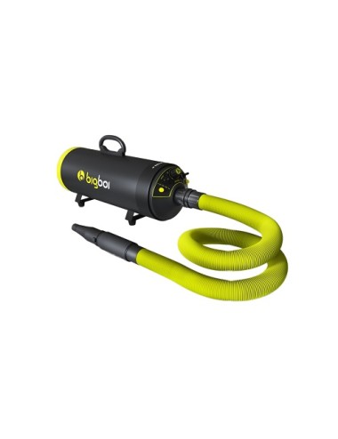 BigBoi BlowR Mini+ Car Dryer - Dmuchawa do osuszania