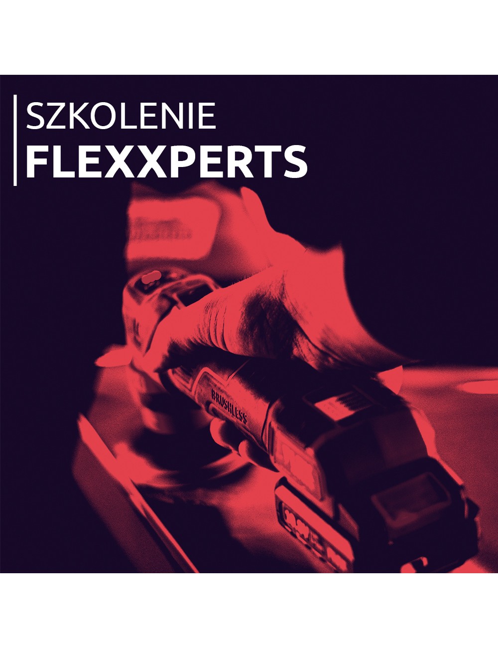 SZKOLENIE FLEXXperts 1-dniowe